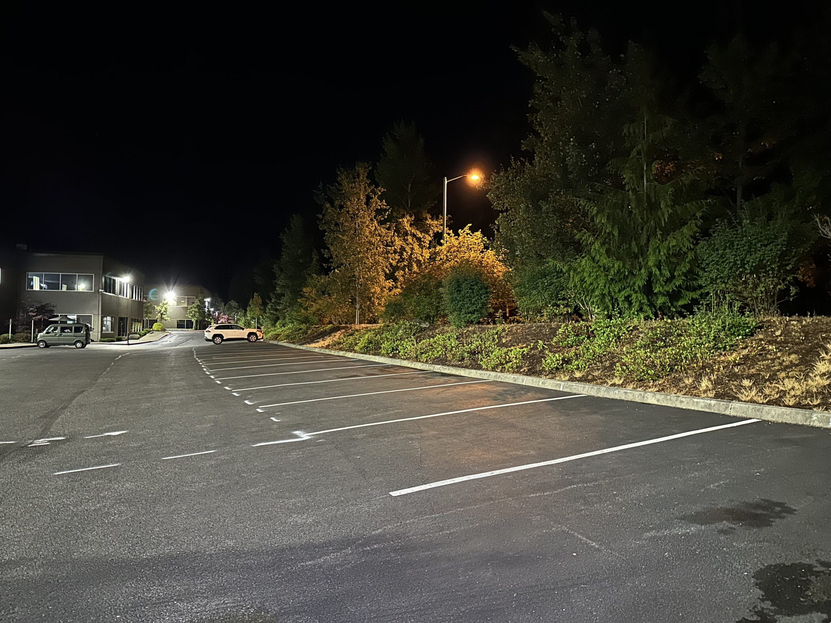 Empty parking lot at night with surrounding trees and streetlights.